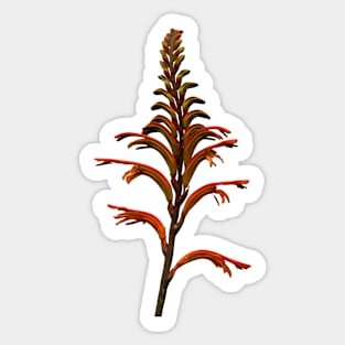 Fabulous Fynbos Sticker